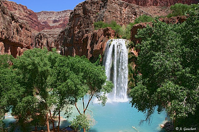 Havasu Fall